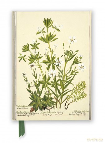 RBGE: Charlotte Cowan Pearson: Stitchworts, Woodruff and Pepperwort (Foiled Journal) (Flame Tree Notebooks) - Flame Tree Studio [KALENDARZ]