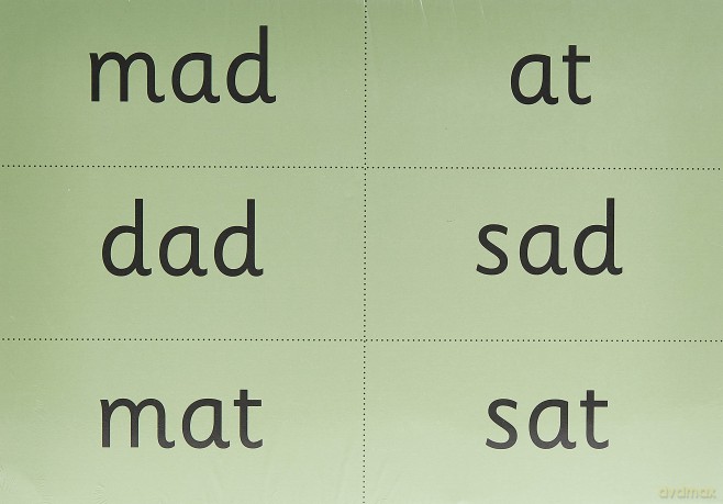 Read Write Inc. Phonics: Green Word Cards Pack of 10 [KSIĄŻKA]