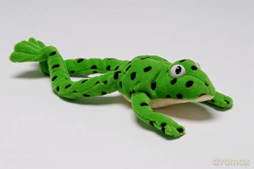 Read Write Inc.: Fred the Frog - Toy (READ WRITE INC PHONICS) [KSIĄŻKA]