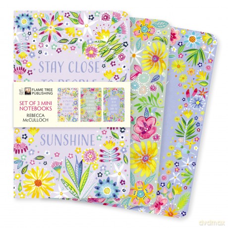 Rebecca McCulloch: Positivity Set of 3 Mini Notebooks (Mini Notebook Collections) - Flame Tree Studio [KSIĄŻKA]