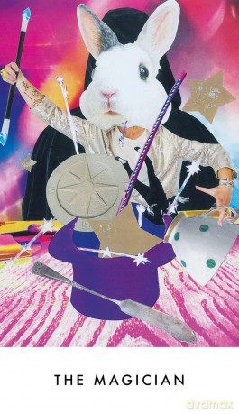 Rebel Heart Tarot: A 78-Card Deck and Guidebook - Alice Grist [KSIĄŻKA]