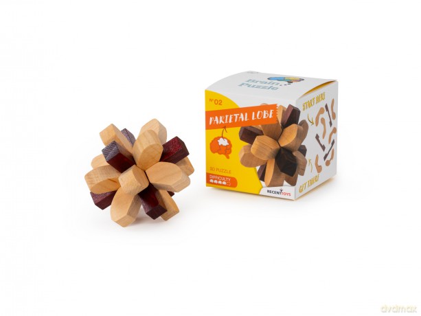 Recent Toys RT5140 Brain Puzzle Parietal Lobe