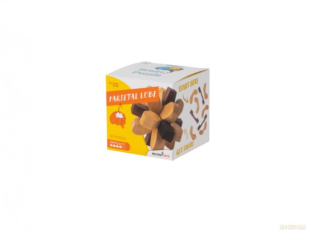 Recent Toys RT5140 Brain Puzzle Parietal Lobe
