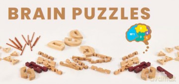 Recent Toys RT5140 Brain Puzzle Parietal Lobe