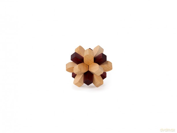 Recent Toys RT5140 Brain Puzzle Parietal Lobe