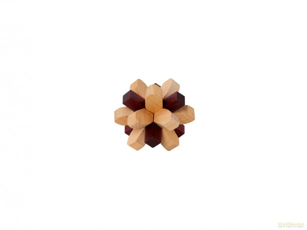 Recent Toys RT5140 Brain Puzzle Parietal Lobe