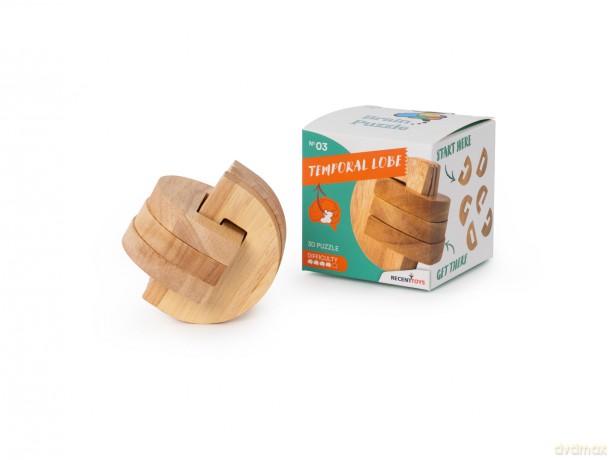 Recent Toys RT5141 Brain Puzzle Temporal Lobe