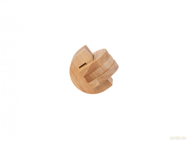 Recent Toys RT5141 Brain Puzzle Temporal Lobe