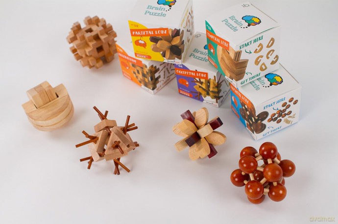 Recent Toys RT5143 Brain Puzzle Cerebellum