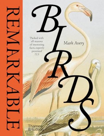 Remarkable Birds - Mark Avery [KSIĄŻKA]