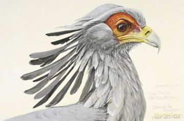 Remarkable Birds - Mark Avery [KSIĄŻKA]