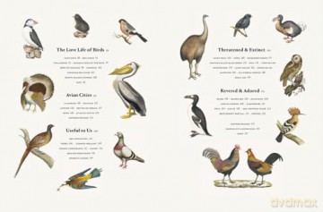 Remarkable Birds - Mark Avery [KSIĄŻKA]