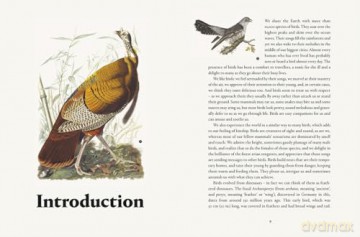 Remarkable Birds - Mark Avery [KSIĄŻKA]