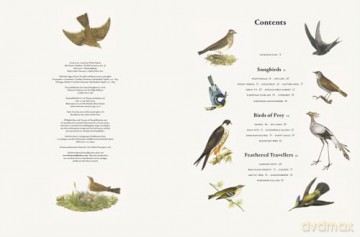 Remarkable Birds - Mark Avery [KSIĄŻKA]