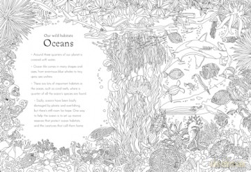 Return of the Wild Colouring Book: Celebrate and explore the natural world - Helen Scales [KSIĄŻKA]