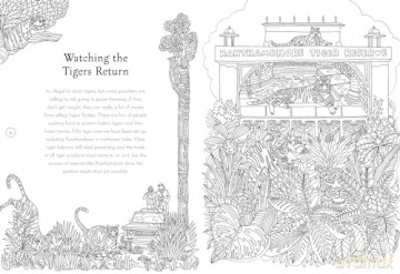 Return of the Wild Colouring Book: Celebrate and explore the natural world - Helen Scales [KSIĄŻKA]