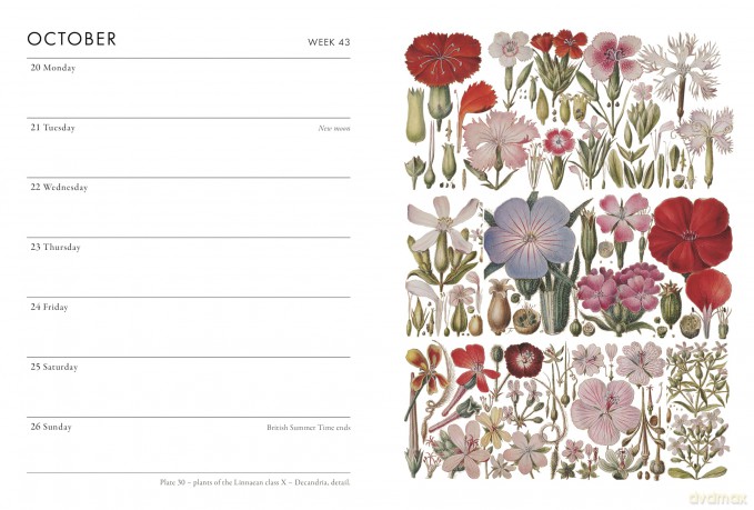 RHS Desk Diary 2025 - The Royal Horticultural Society [KSIĄŻKA]