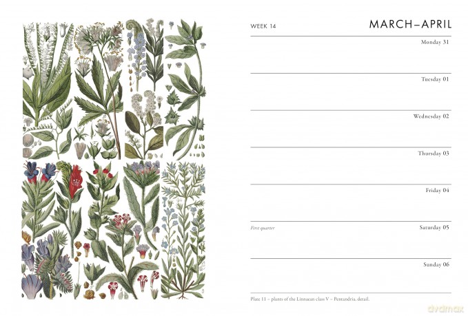 RHS Desk Diary 2025 - The Royal Horticultural Society [KSIĄŻKA]