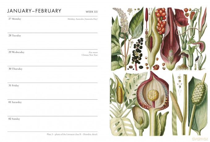 RHS Desk Diary 2025 - The Royal Horticultural Society [KSIĄŻKA]