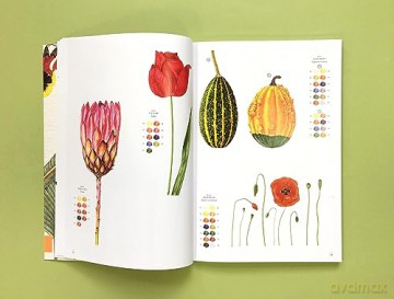 RHS Flowers The Watercolour Art Pad - Rachel Pedder-Smith [KSIĄŻKA]