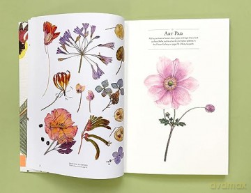 RHS Flowers The Watercolour Art Pad - Rachel Pedder-Smith [KSIĄŻKA]