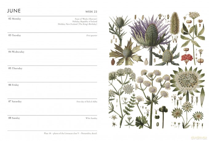RHS Pocket Diary 2025 - The Royal Horticultural Society [KSIĄŻKA]