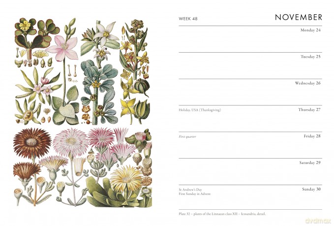 RHS Pocket Diary 2025 - The Royal Horticultural Society [KSIĄŻKA]
