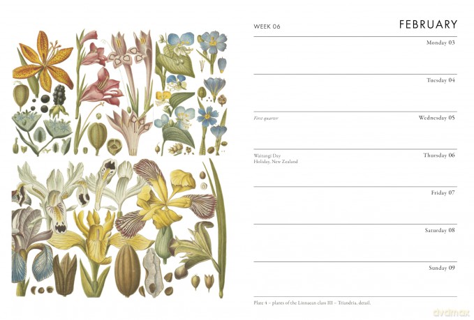 RHS Pocket Diary 2025 - The Royal Horticultural Society [KSIĄŻKA]