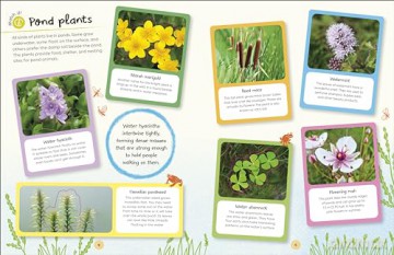 RHS Ultimate Sticker Book Garden Pond: New Edition with More Than 250 Stickers - Dk [KSIĄŻKA]