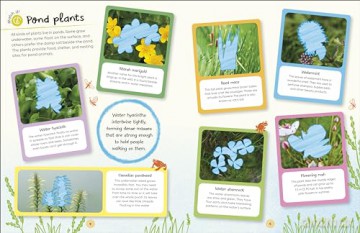 RHS Ultimate Sticker Book Garden Pond: New Edition with More Than 250 Stickers - Dk [KSIĄŻKA]