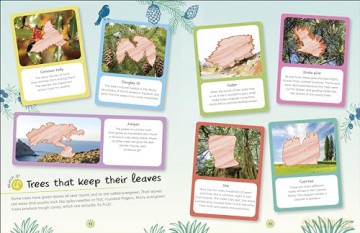 RHS Ultimate Sticker Book Trees and Leaves: New Edition with More Than 250 Stickers - Dk [KSIĄŻKA]