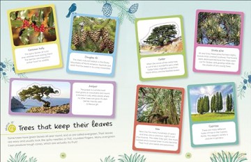 RHS Ultimate Sticker Book Trees and Leaves: New Edition with More Than 250 Stickers - Dk [KSIĄŻKA]
