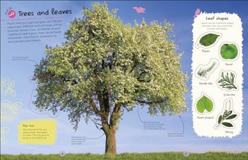 RHS Ultimate Sticker Book Trees and Leaves: New Edition with More Than 250 Stickers - Dk [KSIĄŻKA]