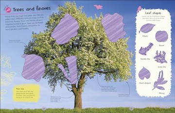 RHS Ultimate Sticker Book Trees and Leaves: New Edition with More Than 250 Stickers - Dk [KSIĄŻKA]