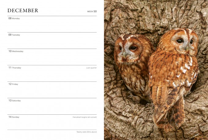 RHS Wild in the Garden Diary 2025 - The Royal Horticultural Society [KALENDARZ]