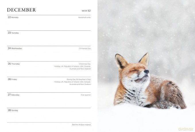 RHS Wild in the Garden Diary 2025 - The Royal Horticultural Society [KALENDARZ]
