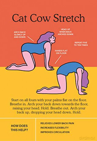 Rise and Shine: A daily ritual of yoga, meditation and inspiration - Georgia Perry [KSIĄŻKA]