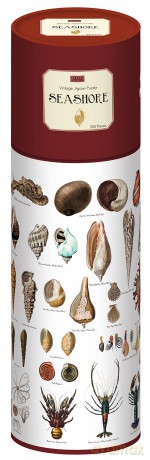 Robert Frederick RFS13876 Shore Sea Shells Jigsaw Puzzle, Multicoloured, 500 Pieces [PUZZLE]