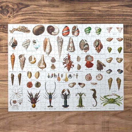 Robert Frederick RFS13876 Shore Sea Shells Jigsaw Puzzle, Multicoloured, 500 Pieces [PUZZLE]