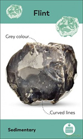 Rocks and Minerals Flash Cards (My First Board Books) - Dk [KSIĄŻKA]