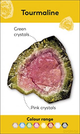 Rocks and Minerals Flash Cards (My First Board Books) - Dk [KSIĄŻKA]