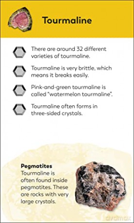 Rocks and Minerals Flash Cards (My First Board Books) - Dk [KSIĄŻKA]