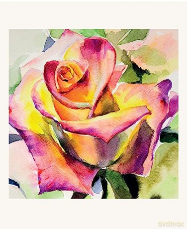 Romantic Roses, 16 Note Cards: 8 Illustrations of Painted Roses - Blank Cards With Envelopes in a Keepsake Box - Tuttle Studio [KSIĄŻKA]
