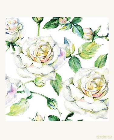 Romantic Roses, 16 Note Cards: 8 Illustrations of Painted Roses - Blank Cards With Envelopes in a Keepsake Box - Tuttle Studio [KSIĄŻKA]