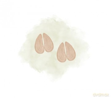 Rosco's Sweet Treats (Dairy Diaries) [KSIĄŻKA]