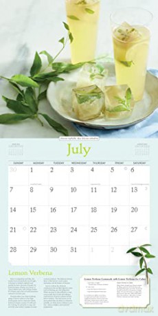 Rosemary Gladstar's Herbs Wall Calendar 2024: Recipes and Remedies for Health and Home - Rosemary Gladstar [KALENDARZ]