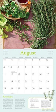 Rosemary Gladstar's Herbs Wall Calendar 2024: Recipes and Remedies for Health and Home - Rosemary Gladstar [KALENDARZ]