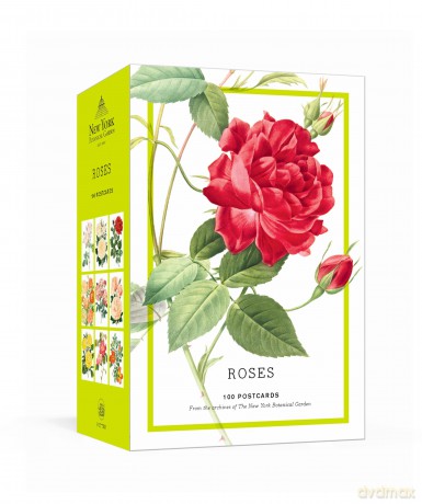 Roses: 100 Postcards from the Archives of The New York Botanical Garden - The New York Botanical Garden [KSIĄŻKA]