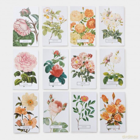 Roses: 100 Postcards from the Archives of The New York Botanical Garden - The New York Botanical Garden [KSIĄŻKA]