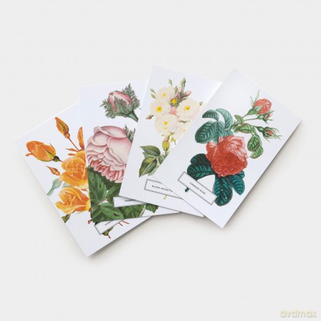 Roses: 100 Postcards from the Archives of The New York Botanical Garden - The New York Botanical Garden [KSIĄŻKA]